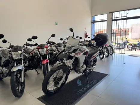 HONDA XRE 300 FLEX, Foto 3