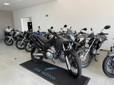 HONDA XRE 300 FLEX, Foto 2