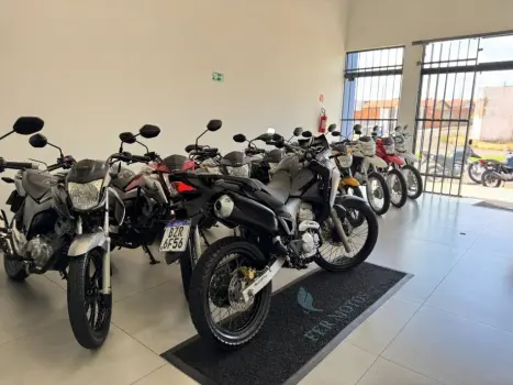 HONDA XRE 300 FLEX, Foto 6