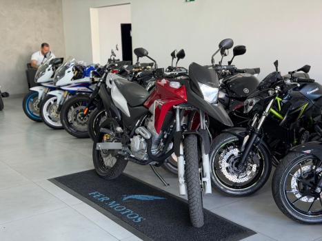 HONDA XRE 300 FLEX, Foto 2