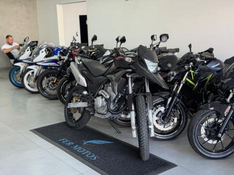 HONDA XRE 300 FLEX, Foto 2