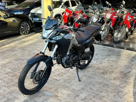 HONDA XRE 300 FLEX, Foto 1