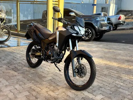 HONDA XRE 300 FLEX, Foto 2