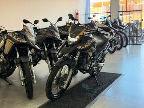 HONDA XRE 300 FLEX, Foto 3