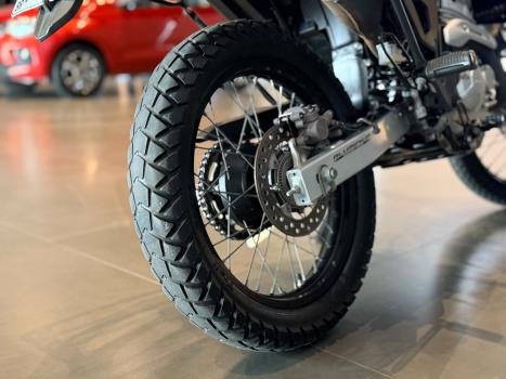 HONDA XRE 300 FLEX, Foto 5