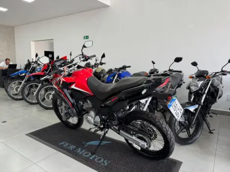 HONDA XRE 300 RALLY ABS, Foto 5