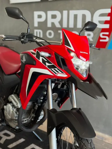 HONDA XRE 300 RALLY ABS, Foto 4