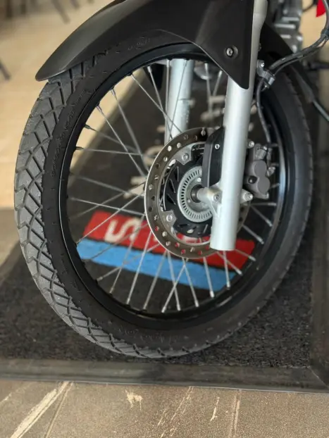 HONDA XRE 300 RALLY ABS, Foto 8