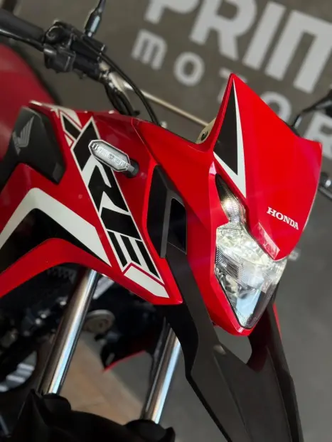 HONDA XRE 300 RALLY ABS, Foto 12