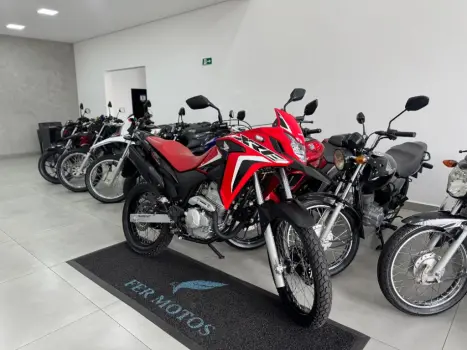 HONDA XRE 300 RALLY ABS, Foto 2