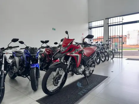 HONDA XRE 300 RALLY ABS, Foto 3