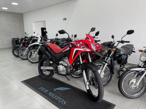 HONDA XRE 300 RALLY ABS, Foto 2