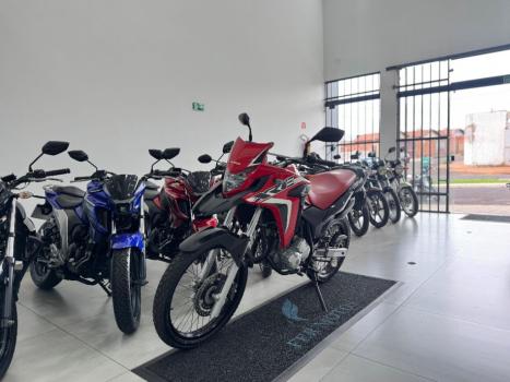 HONDA XRE 300 RALLY ABS, Foto 3