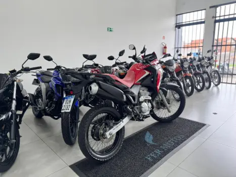 HONDA XRE 300 RALLY ABS, Foto 6