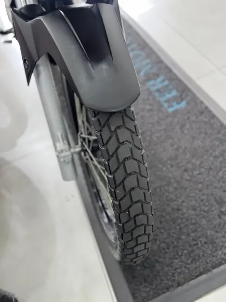 HONDA XRE 300 RALLY ABS, Foto 8