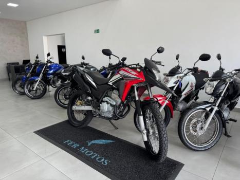 HONDA XRE 300 RALLY ABS, Foto 2