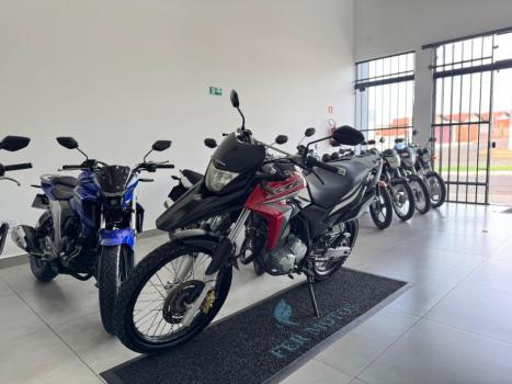 HONDA XRE 300 RALLY ABS, Foto 3