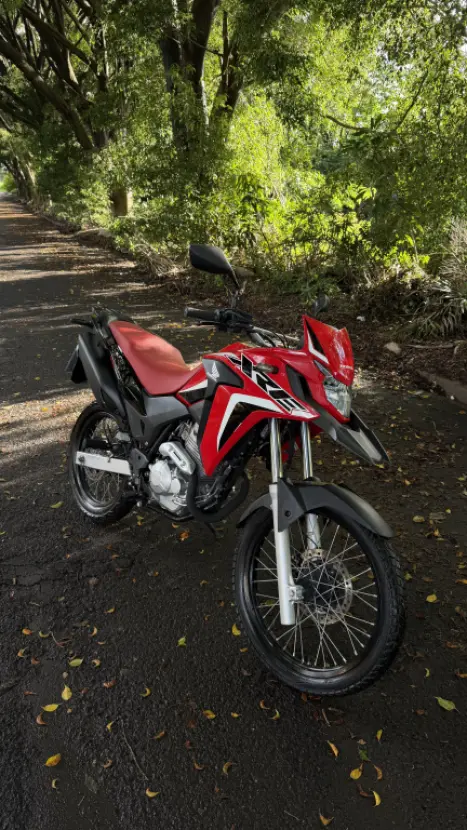 HONDA XRE 300 RALLY ABS, Foto 6