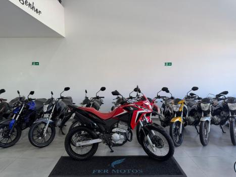 HONDA XRE 300 RALLY ABS, Foto 1