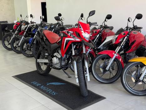 HONDA XRE 300 RALLY ABS, Foto 2