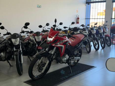 HONDA XRE 300 RALLY ABS, Foto 3