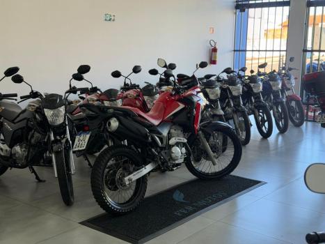 HONDA XRE 300 RALLY ABS, Foto 4