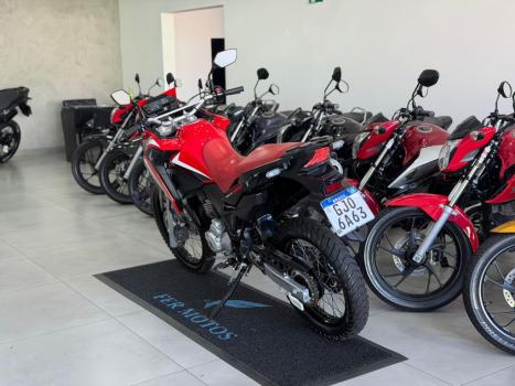 HONDA XRE 300 RALLY ABS, Foto 5