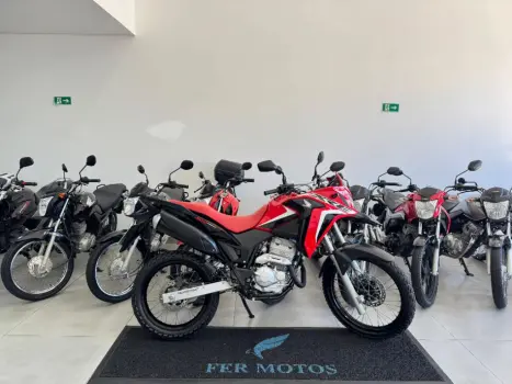 HONDA XRE 300 RALLY ABS, Foto 1