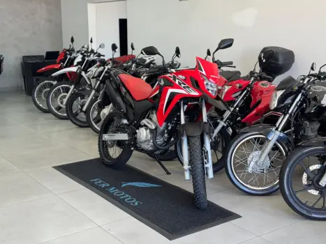 HONDA XRE 300 RALLY ABS, Foto 2