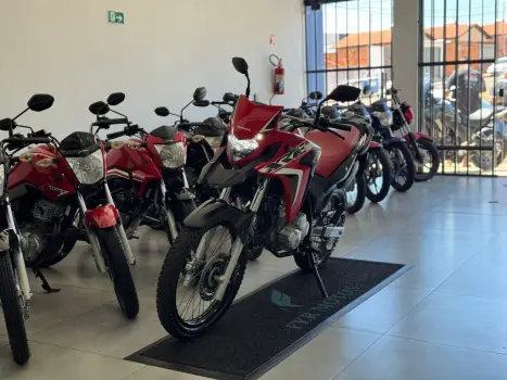 HONDA XRE 300 RALLY ABS, Foto 3