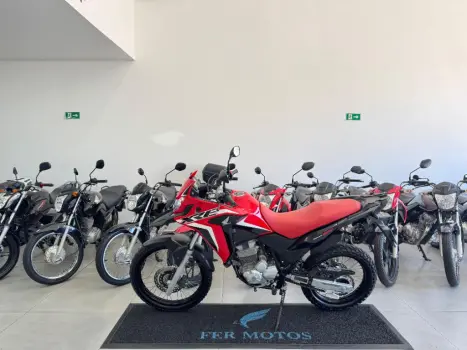 HONDA XRE 300 RALLY ABS, Foto 4