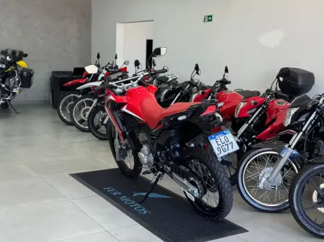 HONDA XRE 300 RALLY ABS, Foto 5