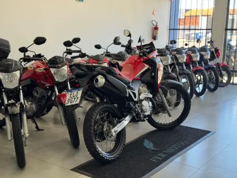 HONDA XRE 300 RALLY ABS, Foto 6