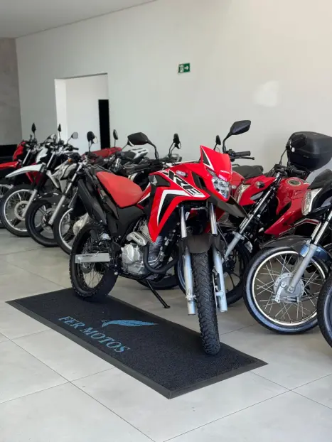 HONDA XRE 300 RALLY ABS, Foto 7