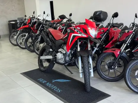 HONDA XRE 300 RALLY ABS, Foto 2