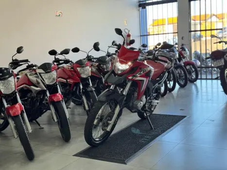 HONDA XRE 300 RALLY ABS, Foto 3