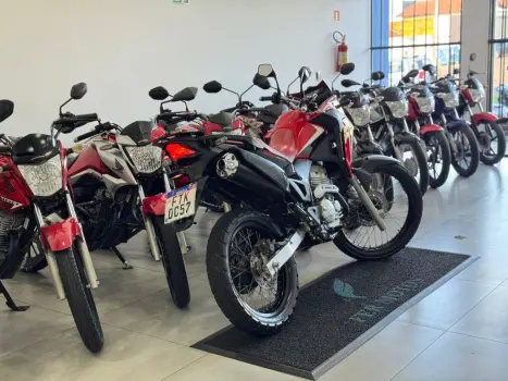 HONDA XRE 300 RALLY ABS, Foto 6