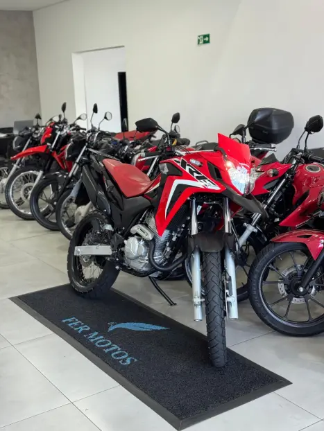 HONDA XRE 300 RALLY ABS, Foto 7