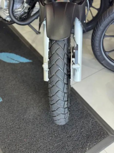 HONDA XRE 300 RALLY ABS, Foto 9