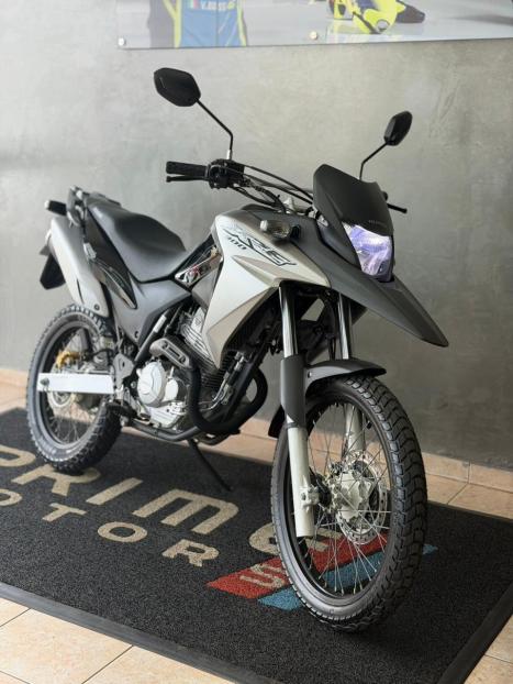 HONDA XRE 300 RALLY ABS, Foto 4