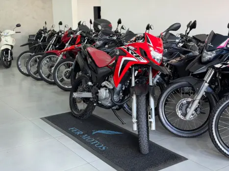 HONDA XRE 300 RALLY ABS, Foto 2
