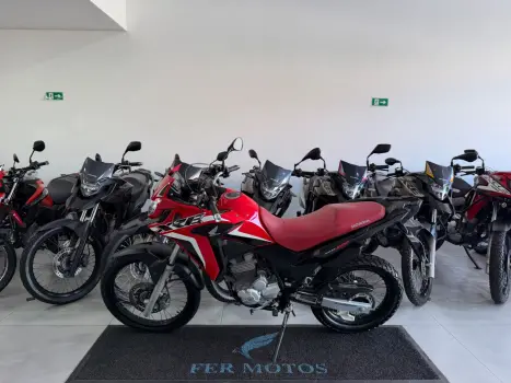 HONDA XRE 300 RALLY ABS, Foto 4