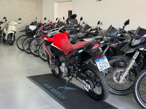 HONDA XRE 300 RALLY ABS, Foto 5