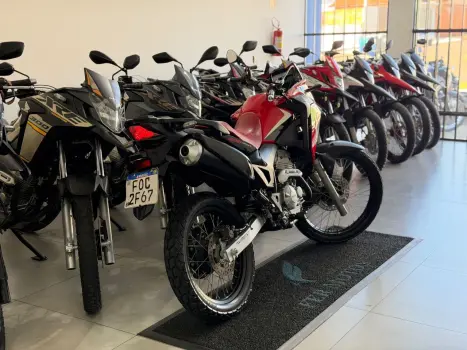 HONDA XRE 300 RALLY ABS, Foto 6