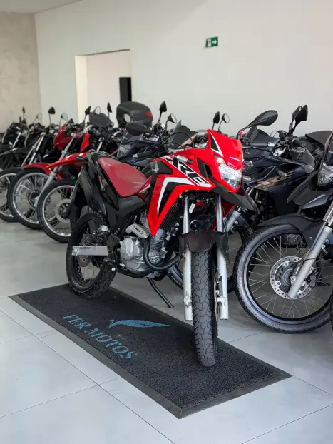 HONDA XRE 300 RALLY ABS, Foto 7