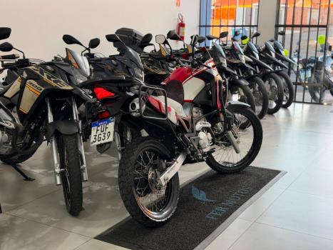 HONDA XRE 300 RALLY ABS, Foto 6