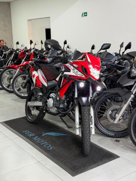 HONDA XRE 300 RALLY ABS, Foto 7