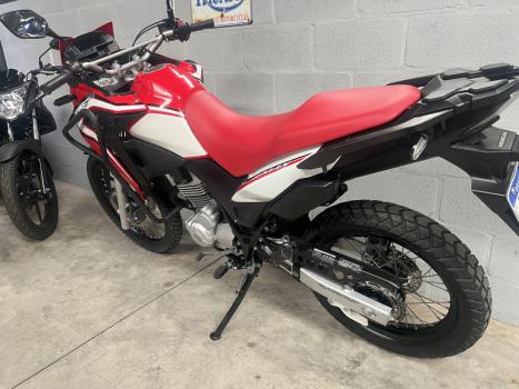HONDA XRE 300 RALLY ABS, Foto 4