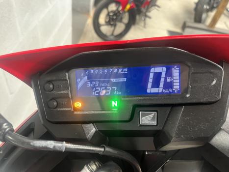 HONDA XRE 300 RALLY ABS, Foto 7