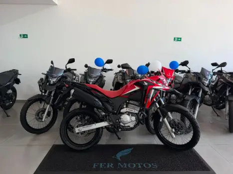 HONDA XRE 300 RALLY ABS, Foto 1